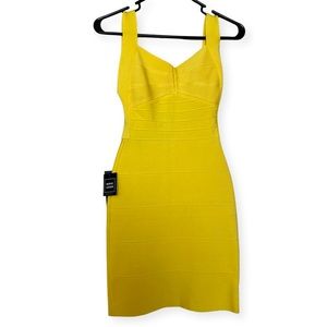 Herve Lerger by Max Azria Summer fun curve hugging backless dress